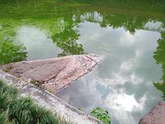 -蟹山公园