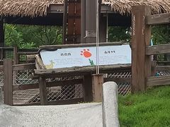 -珠海海泉湾神秘岛亲子乐园