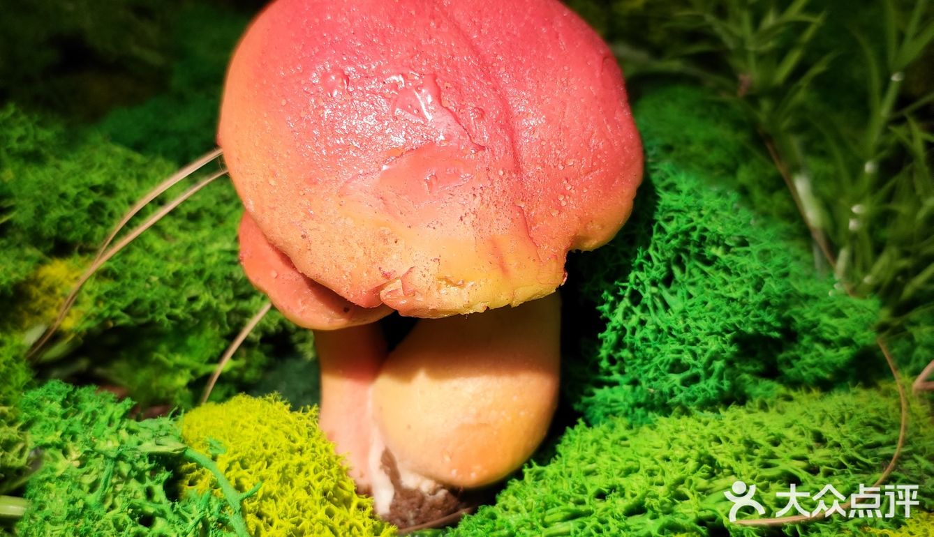 鲜味就直冲天灵盖，味道绝了！商家寄来的菌子做汤超棒