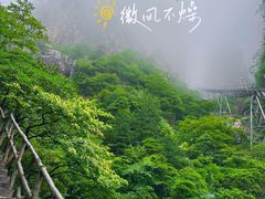-黄山风景区
