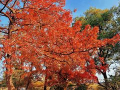 -相门城墙文化休闲景区