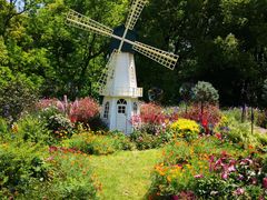 -上海共青森林公园