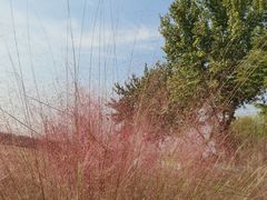 -汉长安城未央宫国家考古遗址公园