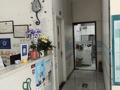 -中农国际动物医院24小时·猫科·骨科·急重症中心