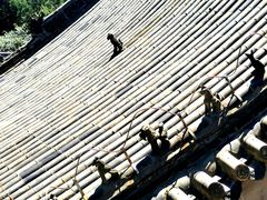 -泰山风景名胜区-普照寺