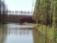 -黄海国家森林公园