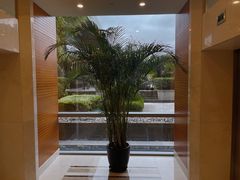 -上海浦东康桥绿地假日酒店