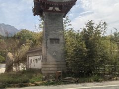 -王顺山国家森林公园