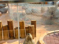 -南戴河国际娱乐中心