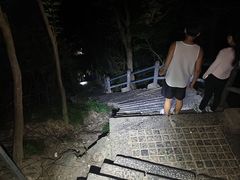 -紫金山山顶公园