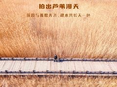 -野鸭湖国家湿地公园