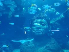 -暹罗海洋世界