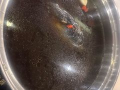 -太婆天府山珍酒楼(亚运村店)