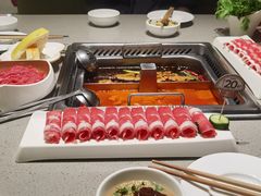 -海底捞火锅(赛格国际购物中心店)