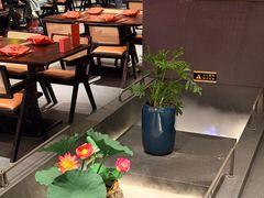 -单家老院·院子里的青岛菜(沙子口店)
