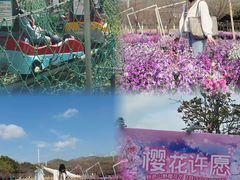 -盈香心动乐园