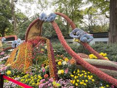 -杭州植物园