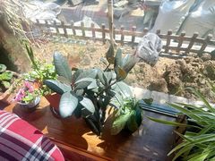 -慢丽江·云南野生菌土鸡锅(付家庄店)