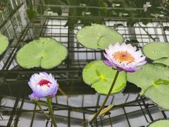 -国家植物园南园