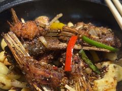 -港升鱼师傅·中山脆肉鲩
