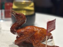 -侨美食家·41年地道粤菜(珠江新城店)