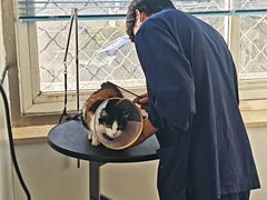 -萌兽医馆·绝育·24小时内科·宠物医院(德胜店)