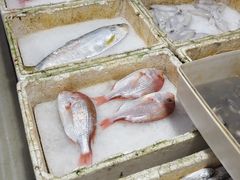 -隆都四季香饭店(碧海路店)