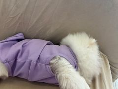 -怪兽屋·羊驼·猫咖·狗咖(俊华广场店)