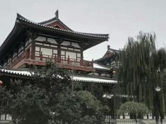 -西安青龙寺遗址景区