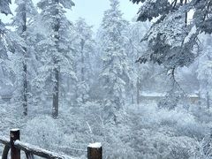 -瓦屋山景区