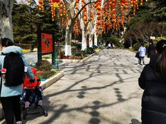 -上海动物园(地铁站)