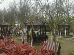 -武汉紫薇都市田园