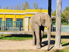 -哈尔滨北方森林动物园