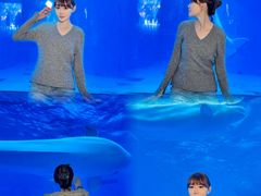 -海合安成都极地海洋公园