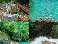 -广州白江湖森林公园