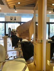 -简法造型·品牌形象店