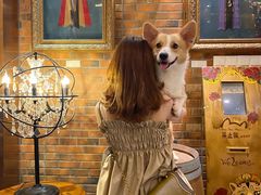 -more than meow吴止猫主题餐厅(承德 中船汇店)