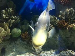 -福州罗源湾海洋世界旅游区