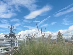 -唐咖精品咖啡(大理古城手冲店)