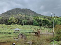 -广州市石门国家森林公园