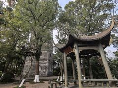 -江心屿景区