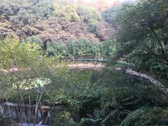 -重庆彩云湖湿地公园