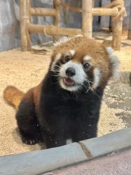 -Zoolung Zoolung动物主题公园(海信广场店)