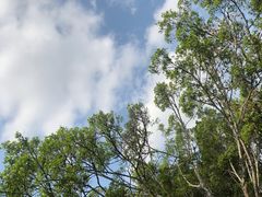 -野象谷景区