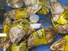 -张树军海鲜(王府壹号店)