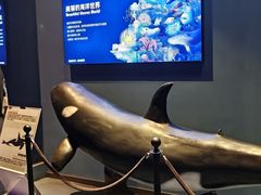 -重庆欢乐海底世界