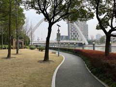 -陈家山荷花公园