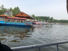 -白洋淀景区
