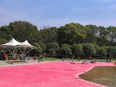 -上海鲜花港