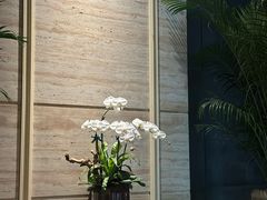 -炳胜公馆(珠江新城店)